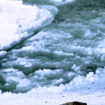 Frazil and Ice Controlled by Deicing