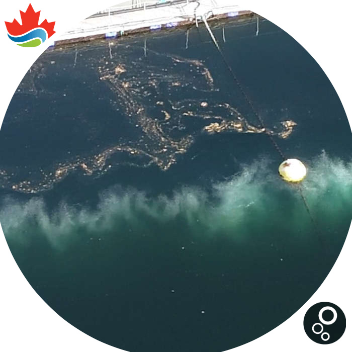 Aquaculture and fish farm protection from toxic algae