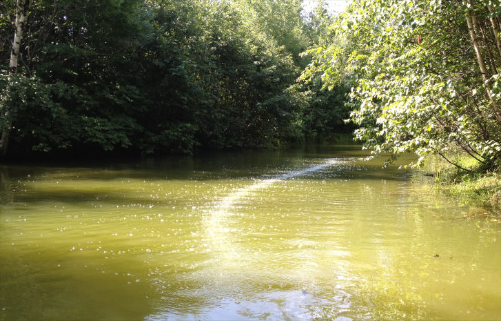 Aeration of Irrigation Ponds: Method of Water Purification