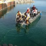 Deicing the waterways for the ferry crossing