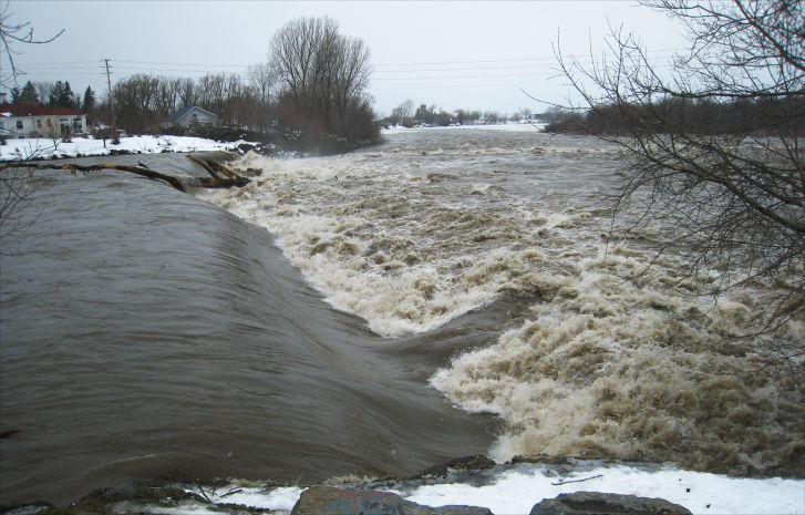 Control of Manganese and Ammonia in Drinking Water