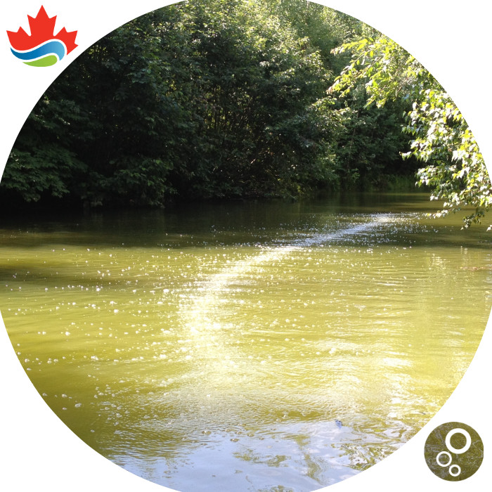 Aération linéaire dans un bassin de rétention