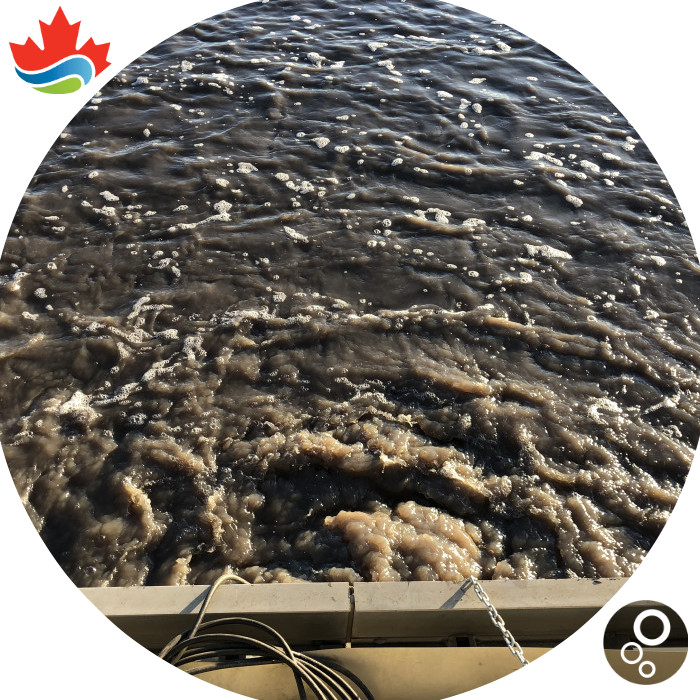 Traitement d'eaux avec Bubble Tubing®