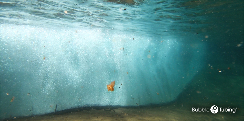 Control of Invasive Species in Lake Tahoe