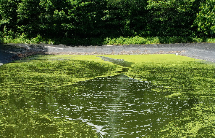 H2S – Qu’est-ce que c’est et comment le traiter ?